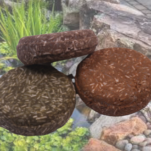 Shampoo Bars